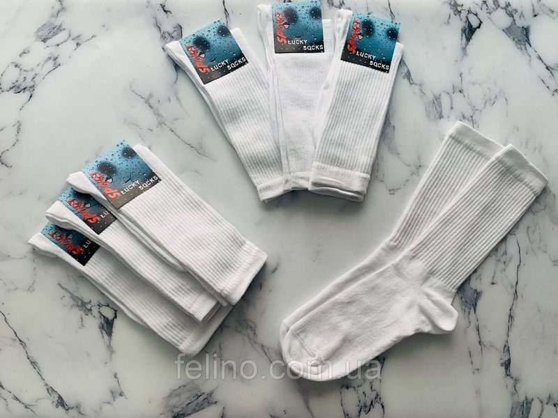 Шкарпетки чоловічі LUCKY SOCKS 40-44р. гладь з принтом 1472444490 фото
