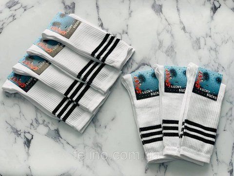 Шкарпетки чоловічі LUCKY SOCKS 40-44р. гладь з принтом 1472445468 фото