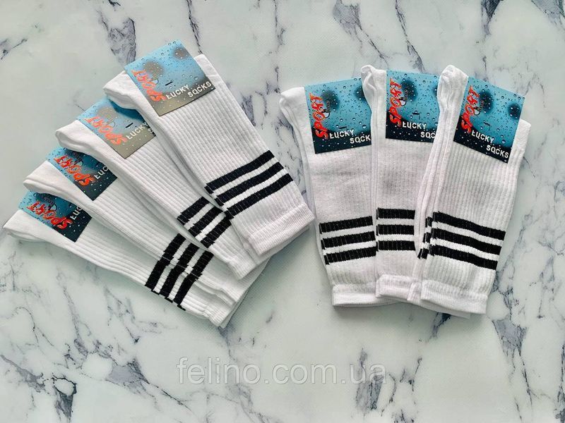 Шкарпетки чоловічі LUCKY SOCKS 40-44р. гладь з принтом 1472445468 фото